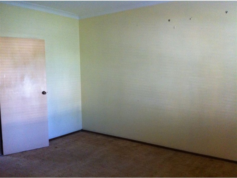 20 Peachy road, Ormeau QLD 4208