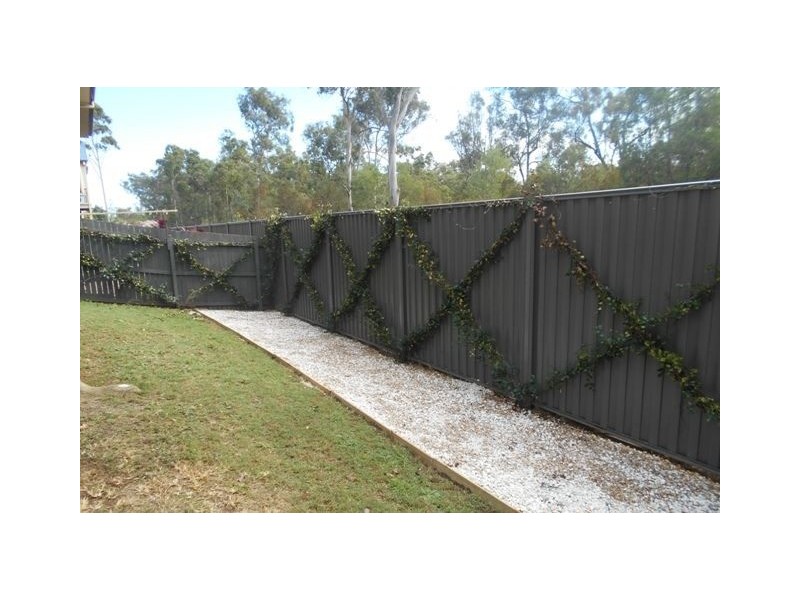 5 Conway street, Waterford QLD 4133