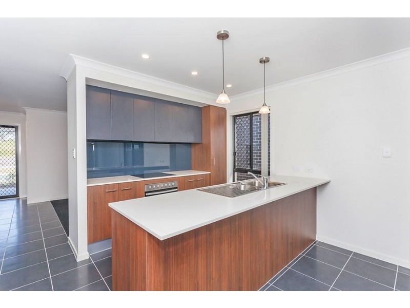 51 Wollombi Ave, Ormeau Hills QLD 4208