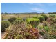 Bethania QLD 4205