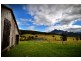 Mount Barney QLD 4287