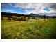 Mount Barney QLD 4287