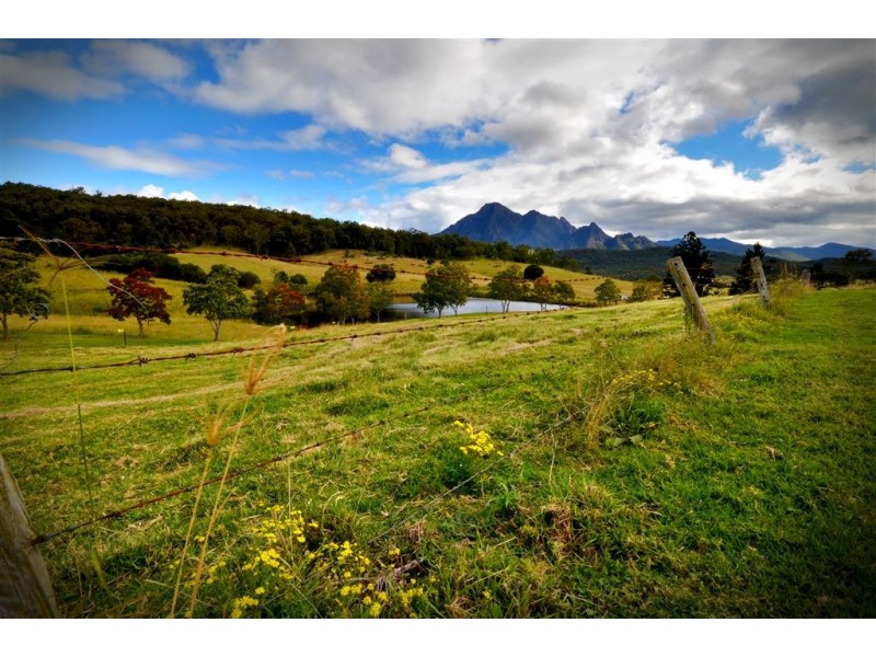 Mount Barney QLD 4287