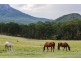 Mount Barney QLD 4287