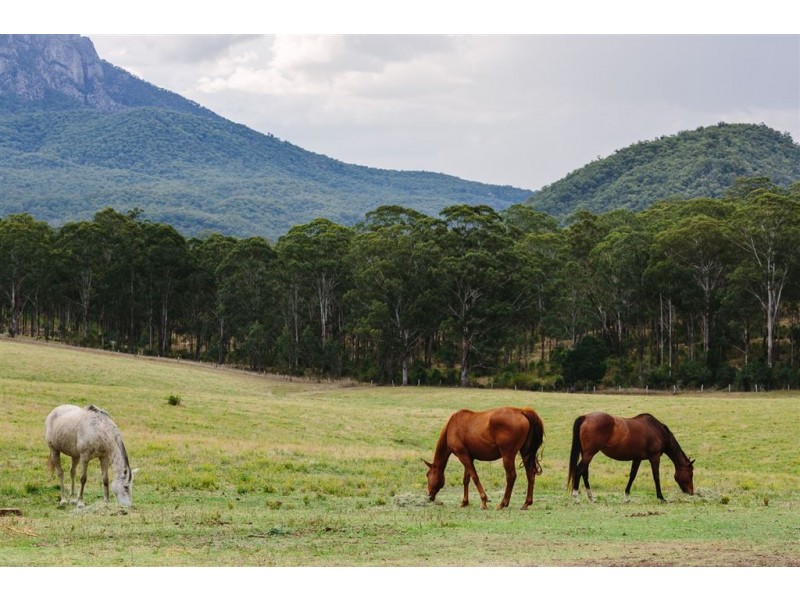 Mount Barney QLD 4287
