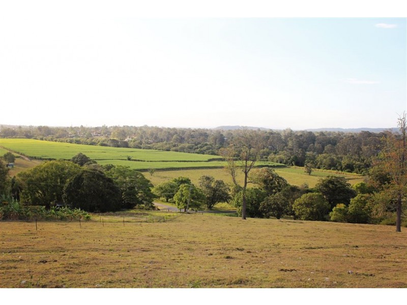 228 Quinns Hill Road West, Stapylton QLD 4207