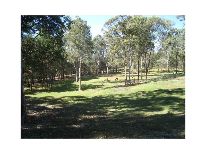 42-50 Grassdale Street, Buccan QLD 4207