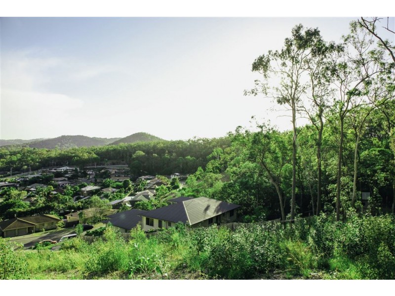 9 Hartwig Crescent, Mount Warren Park QLD 4207