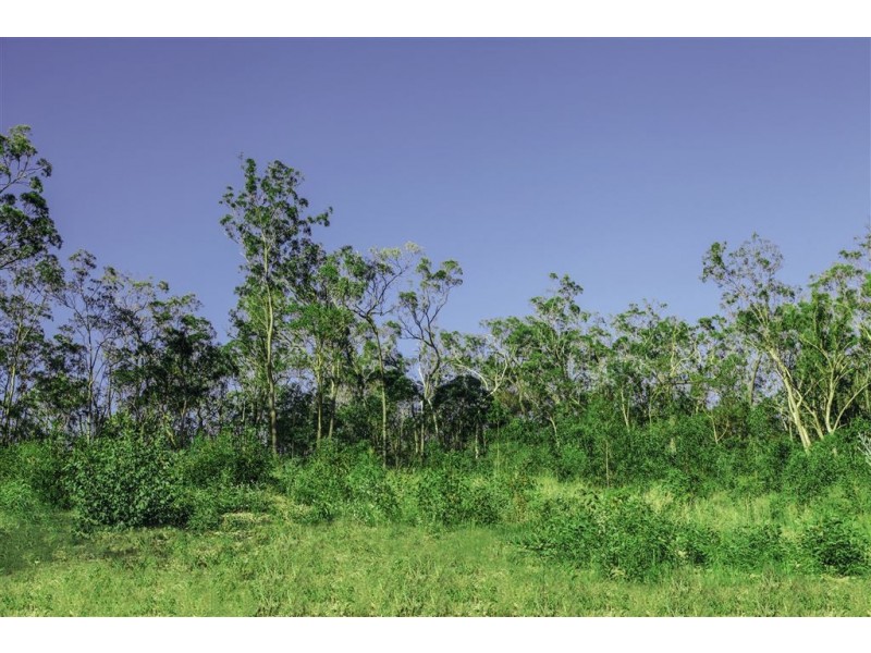 9 Hartwig Crescent, Mount Warren Park QLD 4207