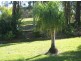 8 Veronica Ct, Buccan QLD 4207