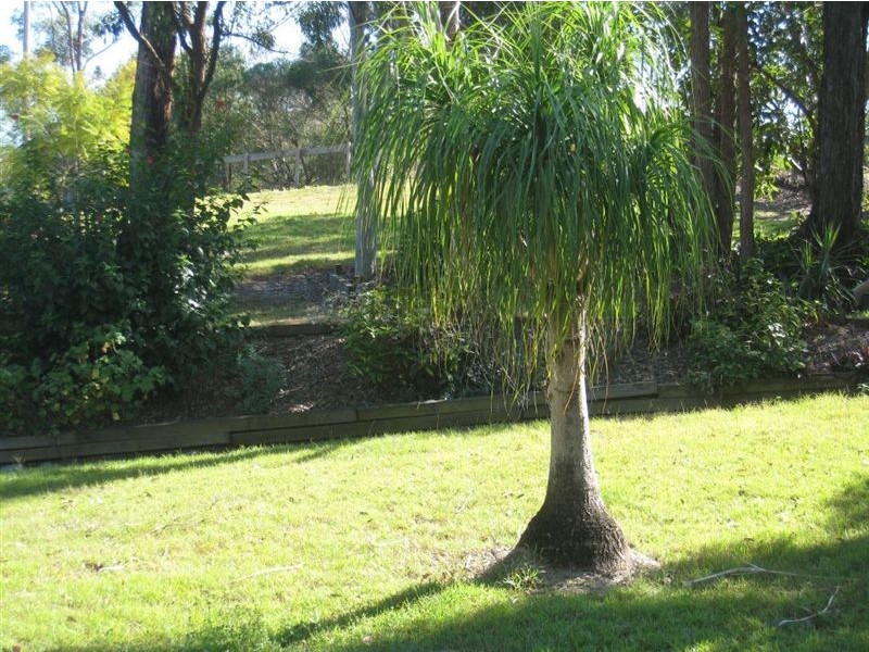 8 Veronica Ct, Buccan QLD 4207