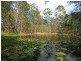 199 Sharton Avenue, Buccan QLD 4207