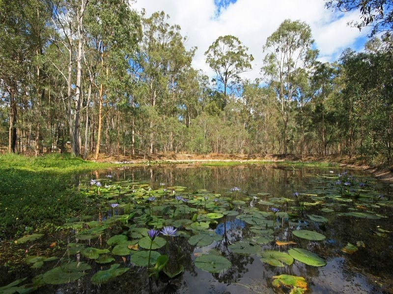 199 Sharton Avenue, Buccan QLD 4207