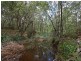 22 Ellen Ct, Logan Village QLD 4207