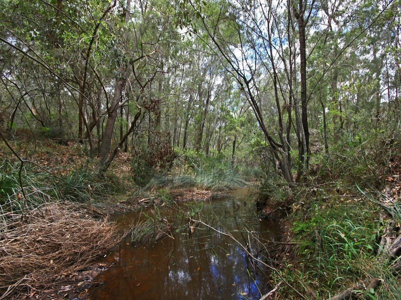 22 Ellen Ct, Logan Village QLD 4207