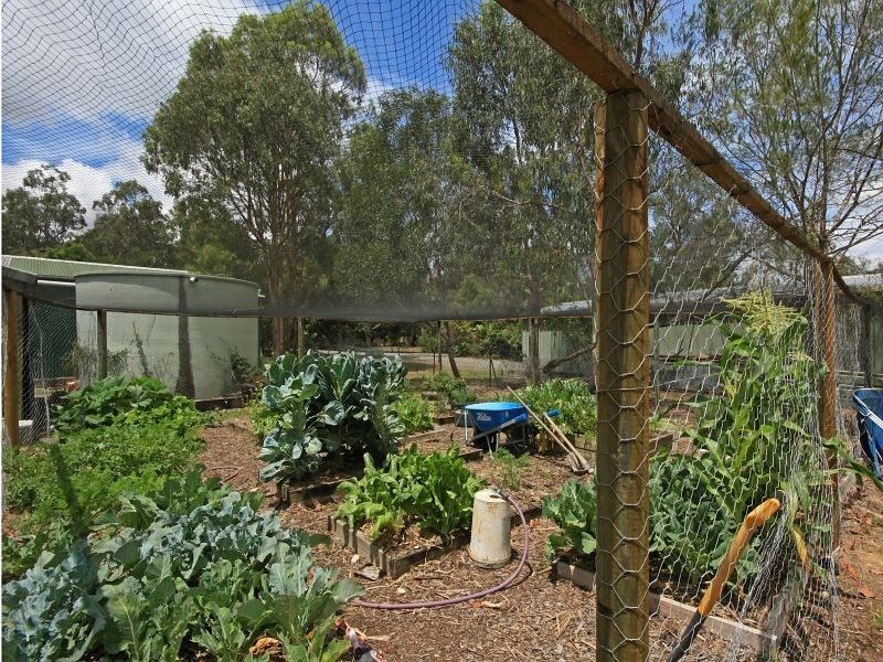 22 Ellen Ct, Logan Village QLD 4207