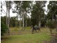419 Steele Road, Logan Village QLD 4207