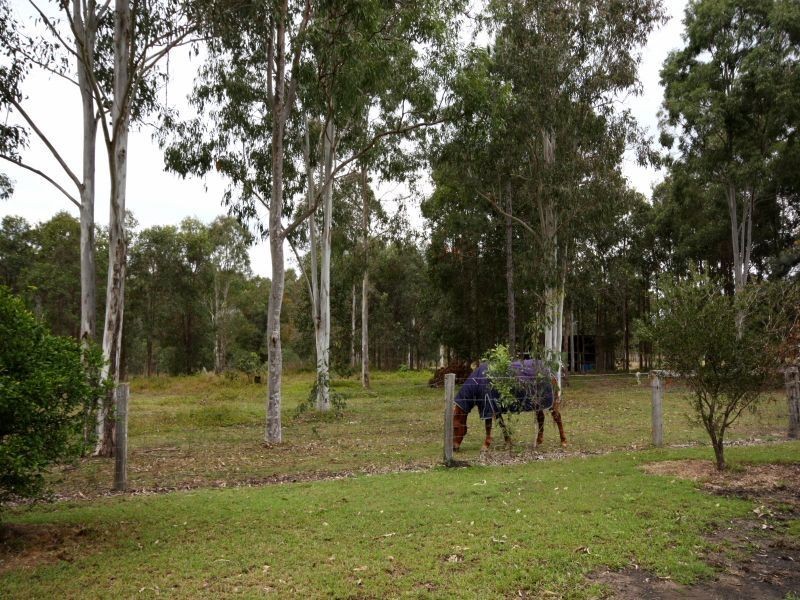 419 Steele Road, Logan Village QLD 4207