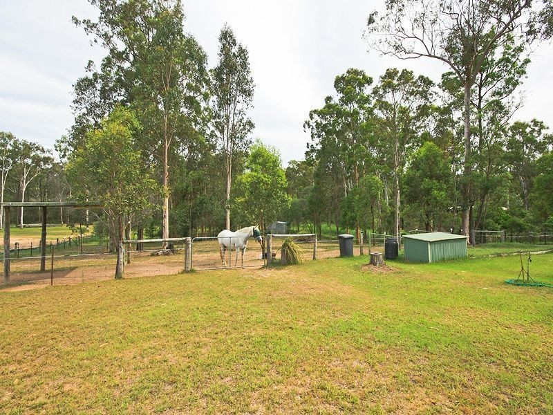 221 Wilson Road, Buccan QLD 4207