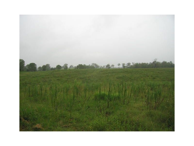 175 Musch Road, Stockleigh QLD 4280