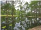 236 WILSON ROAD, Buccan QLD 4207