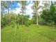236 WILSON ROAD, Buccan QLD 4207