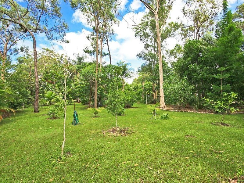 236 WILSON ROAD, Buccan QLD 4207