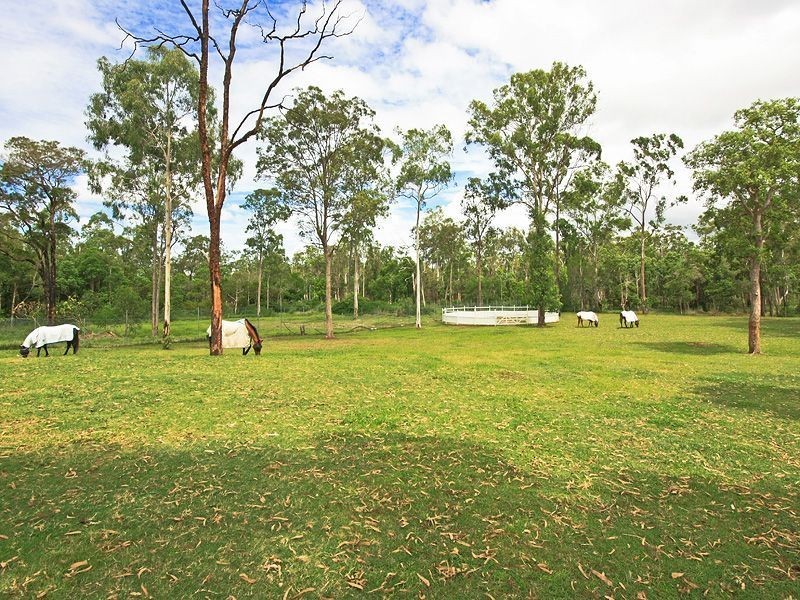 107 Queens Road, Slacks Creek QLD 4127