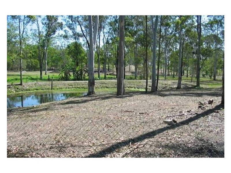 15 Sharton Ave, Buccan QLD 4207