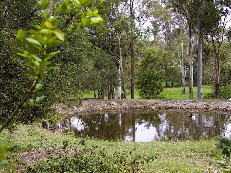 15 Sharton Ave, Buccan QLD 4207