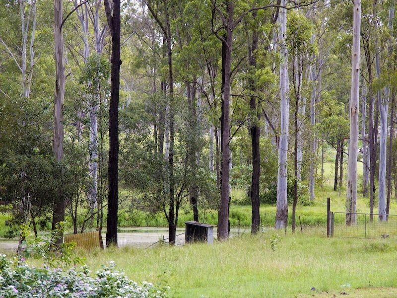 15 Sharton Ave, Buccan QLD 4207