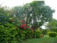 Mount Warren Park QLD 4207