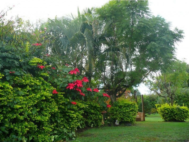 Mount Warren Park QLD 4207