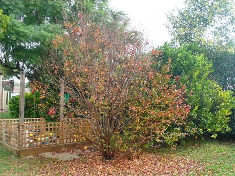 Mount Warren Park QLD 4207