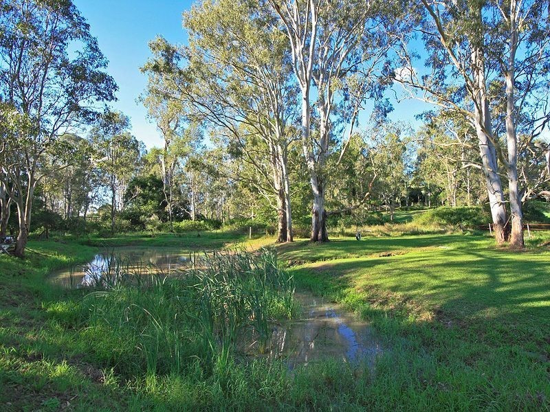 62 Nerang St, Waterford QLD 4133