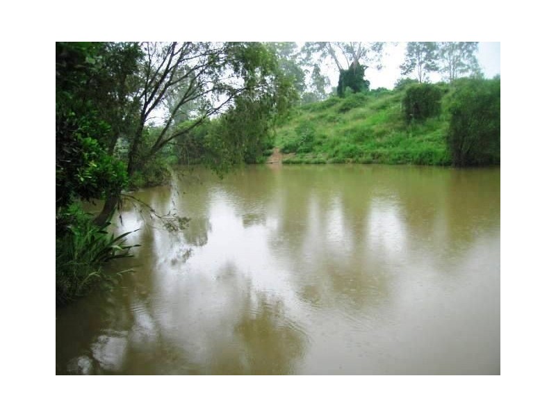 53 Nerang Street, Waterford QLD 4133