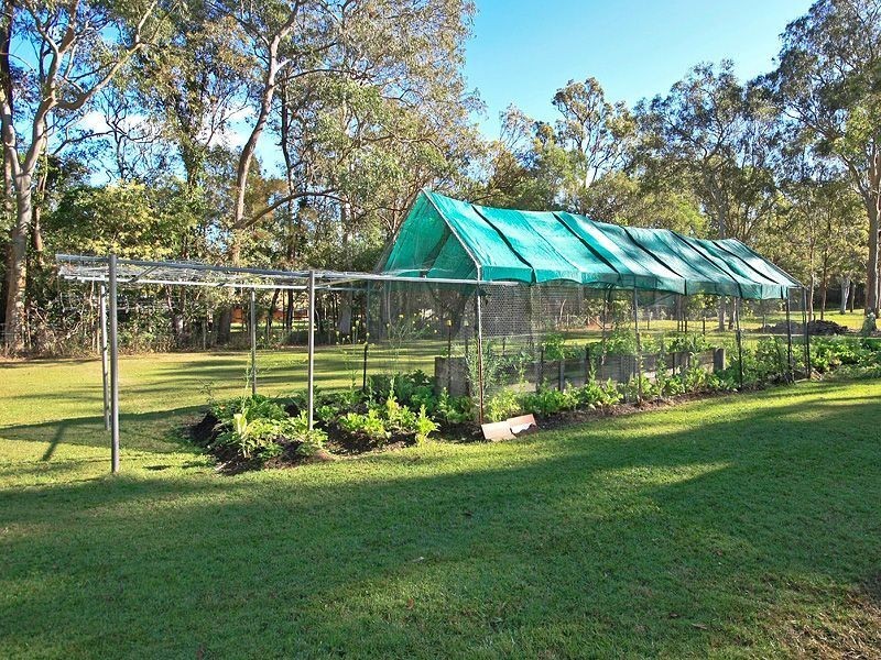 156 Hein Road, Buccan QLD 4207