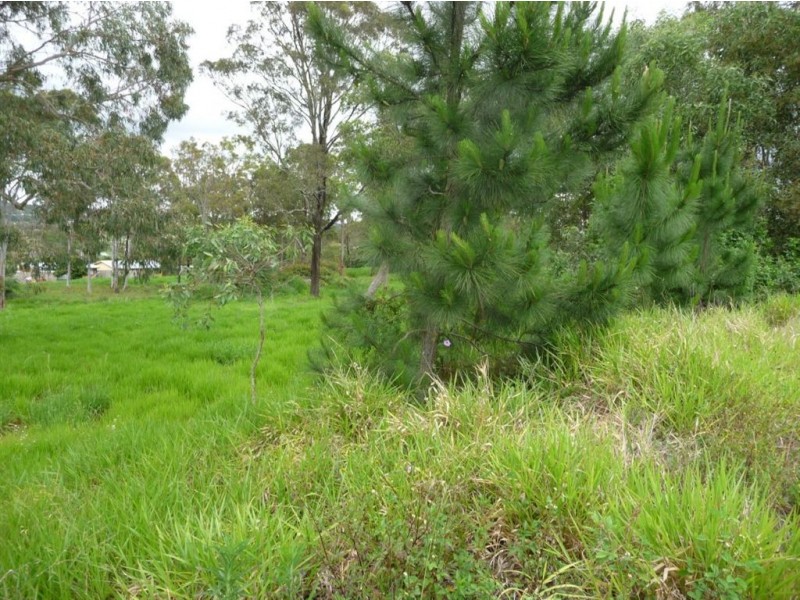 31 Blackbird Street, Beenleigh QLD 4207