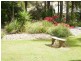 53 Pascoe Road, Ormeau QLD 4208