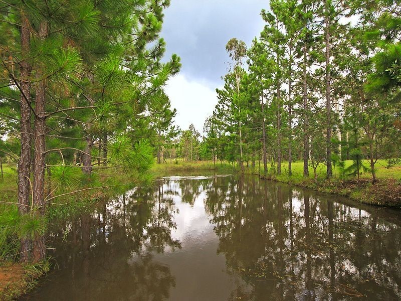 53-79 (69) GREENSWARD RD, Tamborine QLD 4270