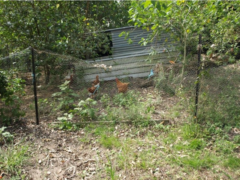 31A Nerang Street, Waterford QLD 4133