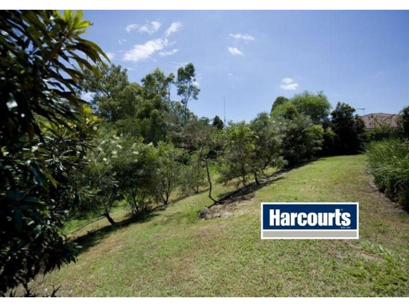 19 Lucas Crescent, Ormeau QLD 4208