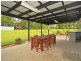 1 Katherine Ct, Logan Village QLD 4207