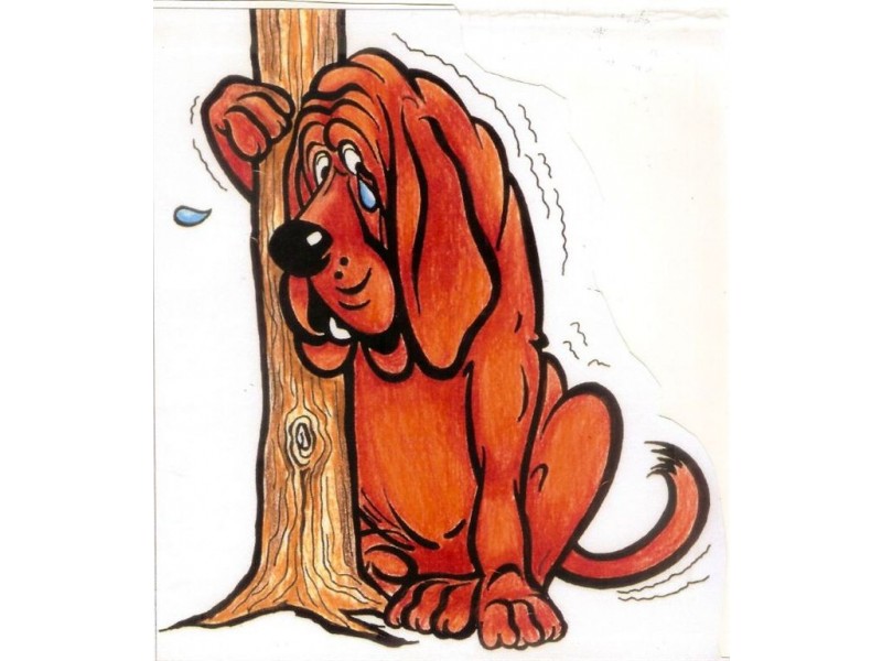 23 Federation Drive, Bethania QLD 4205