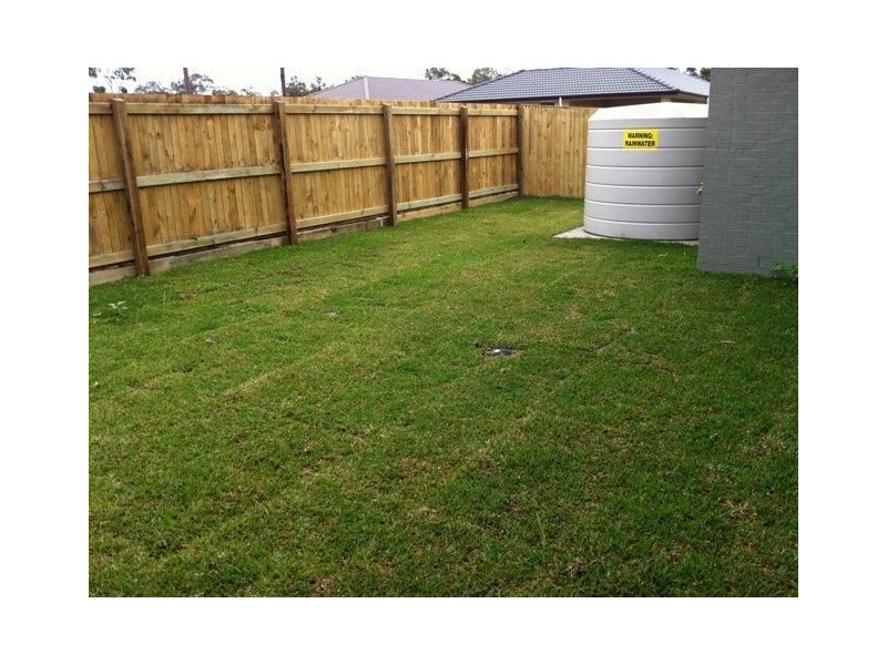 13 Frankland Ave, Waterford QLD 4133