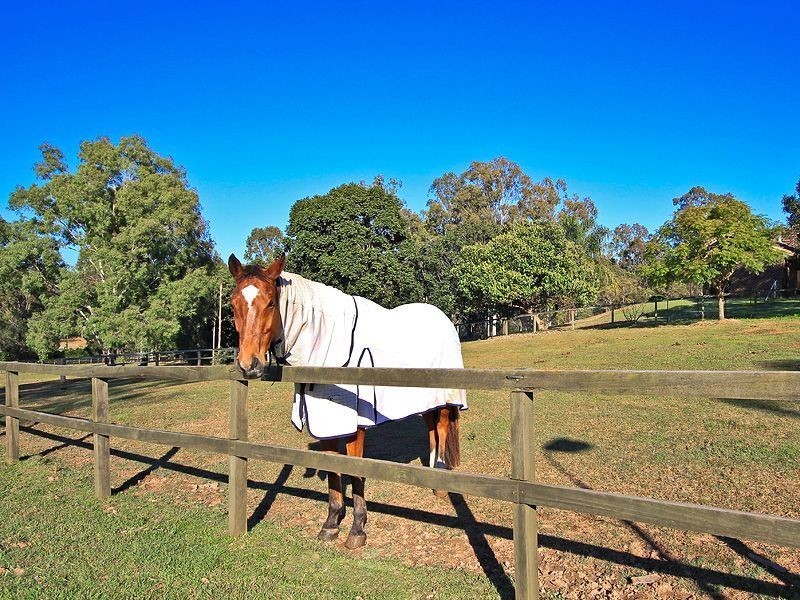 376 Quinzeh Creek Road, Logan Village QLD 4207