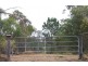 14 Jardine Ct, Logan Village QLD 4207