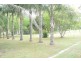 14 Jardine Ct, Logan Village QLD 4207