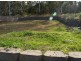 49 Sunridge Cct, Bahrs Scrub QLD 4207