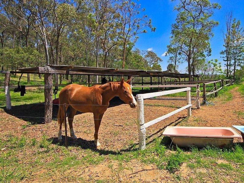 1633 Waterford-Tamborine Road, Logan Village QLD 4207